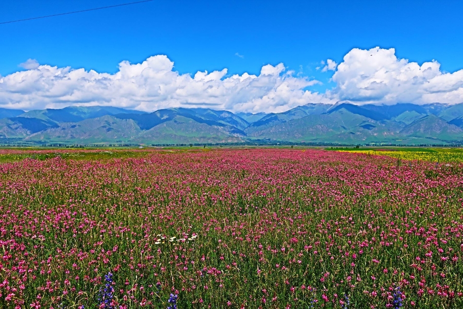 キルギスの風景