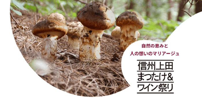 信州上田まつたけ&ワイン祭り2024