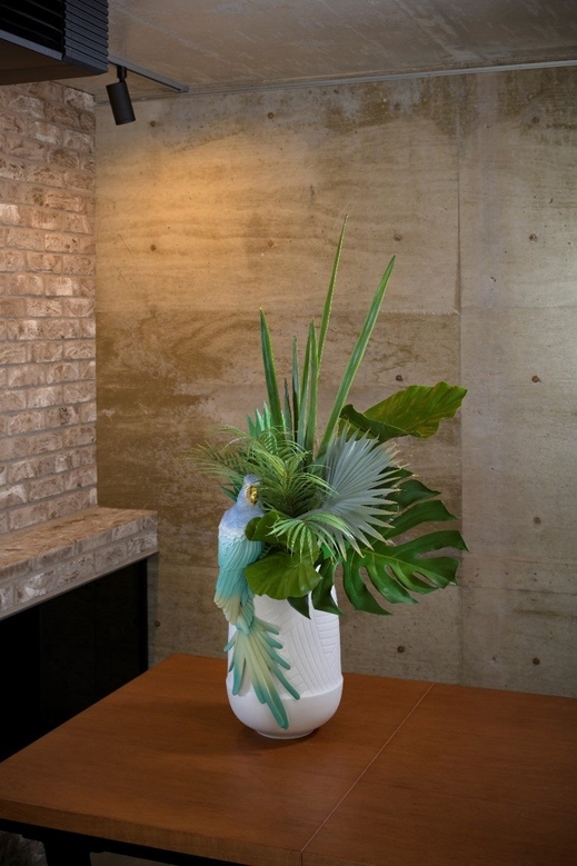 GREEN × ベース(コンゴウインコ)