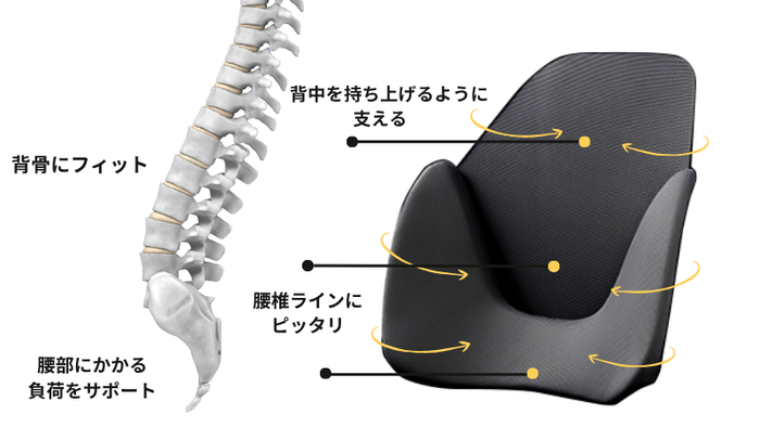 スゴい腰レザー構造