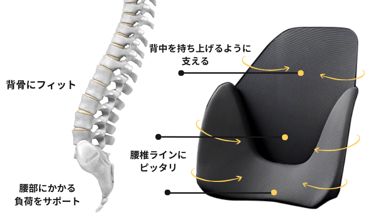 スゴい腰レザー構造