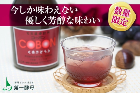 【美味しく菌活】芳醇な赤ぶどうを味わう天然酵母ドリンク 　数量限定『コーボン赤ぶどう』10月1日(水)より発売