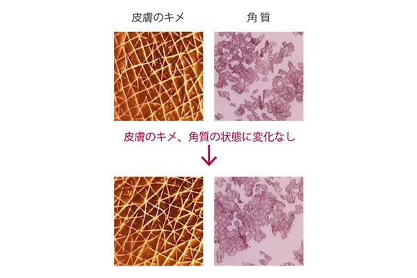 ブラッシングによる皮膚、角質への影響に変化はなく、指と変わらない安全性