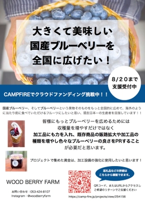 こんなに大きくておいしいブルーベリーがある！ 静岡県浜松市のブルーベリーのクラウドファンディングを 8月20日まで実施