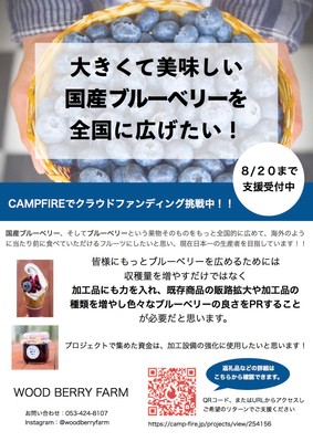 チラシ