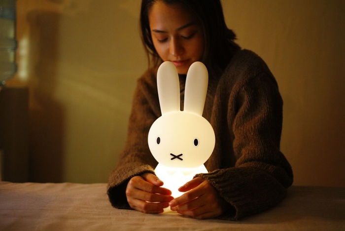 MIFFY FIRST LIGHT NIGHTイメージ1