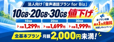 HISモバイル、法人向け「音声通話プラン for Biz」を 10月より値下げ！