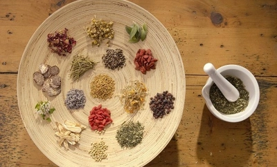 植物エキス製剤市場分析レポート：売上高、成長率、競合環境2026