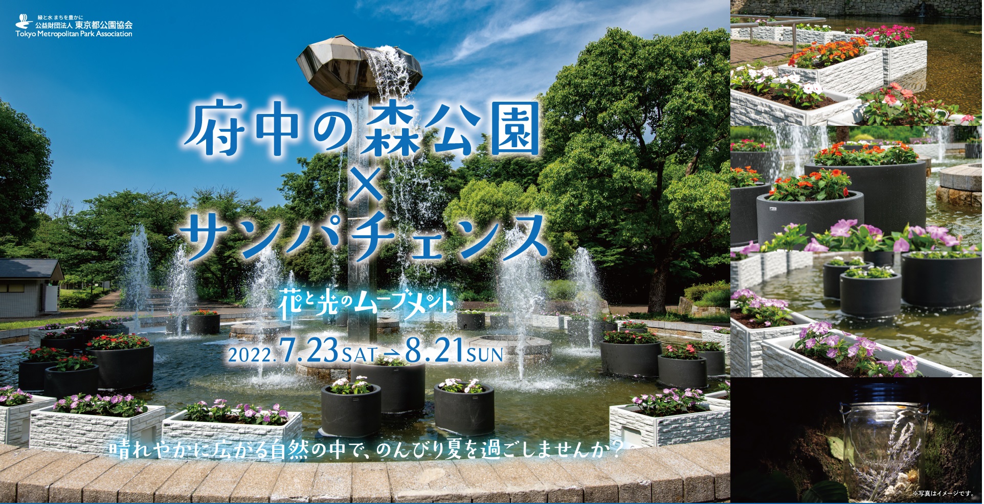 「府中の森公園×サンパチェンスー花と光のムーブメントー」7月23日～8月21日開催