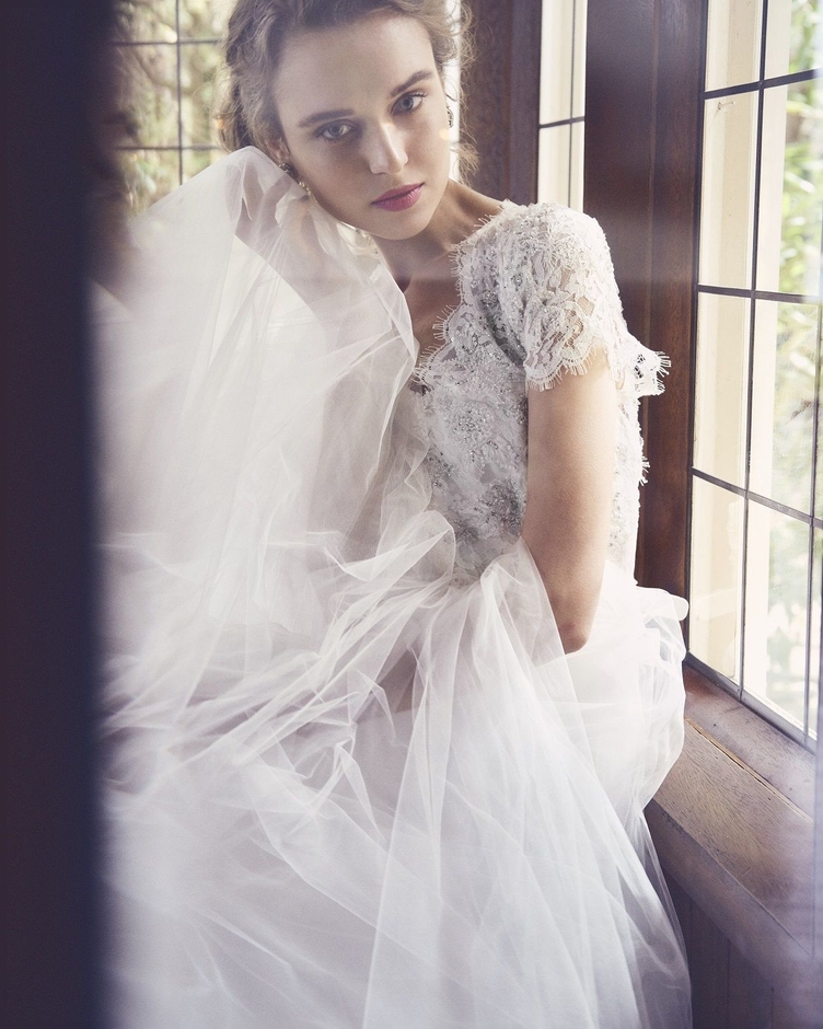 25周年新作ドレス発表　※写真はイメージ