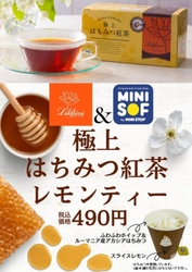 ソフトクリーム専門店「ＭＩＮＩ ＳＯＦ（ミニソフ） 秋冬を楽しむ新メニュー‼ 『極上はちみつ紅茶レモンティー　』 『ﾎｯﾄﾌｧｯｼﾞﾁｮｺｿｰｽ×６０daysﾌﾚｯｼｭｼｮｺﾗｿﾌﾄｸﾘｰﾑ』 10月25日（金）発売