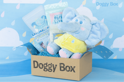 Doggy Box　※イメージ