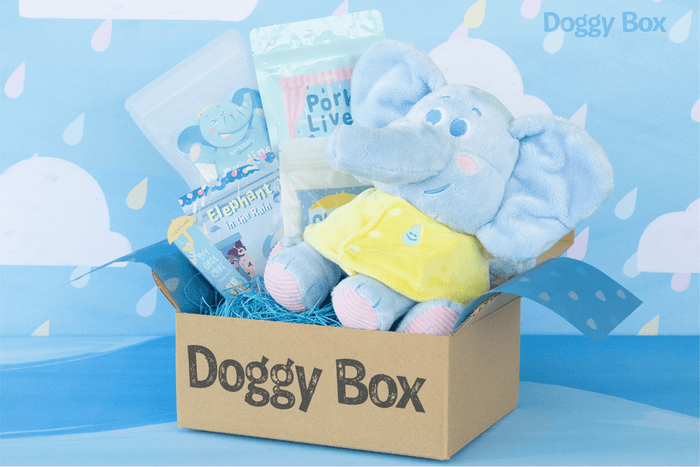 Doggy Box ※イメージ