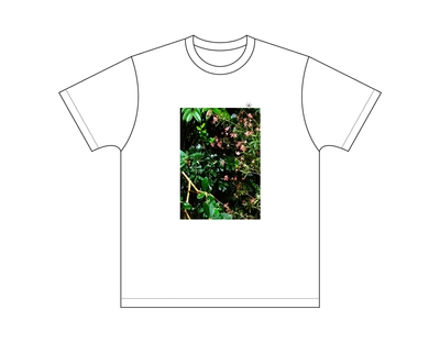Tシャツデザイン(白)