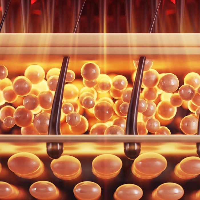 健康な頭皮を保つ