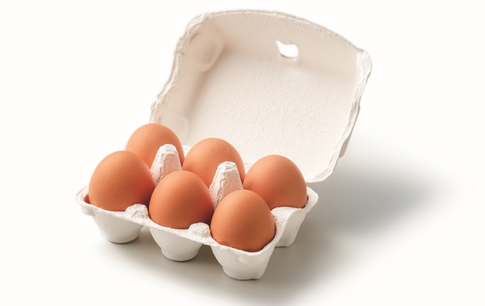 5-1. 坂角たまご