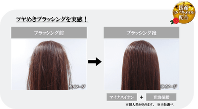 ツヤめきブラッシングを実感！