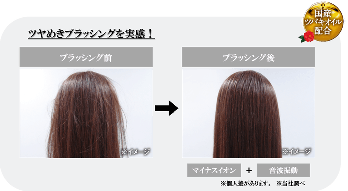 ツヤめきブラッシングを実感!