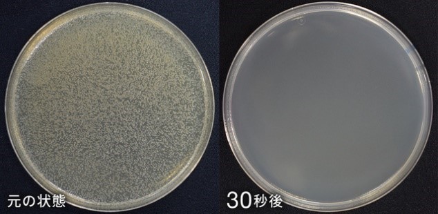 洗濯除菌剤(80mL)/1,320円(税込)