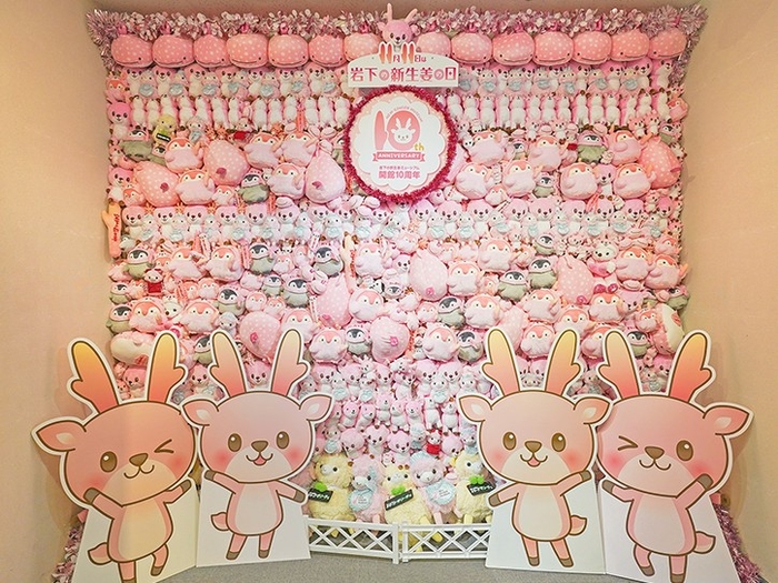 ぬいぐるみの壁