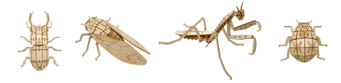 オオクワガタ/アブラゼミ/オオカマキリ/ナナホシテントウ