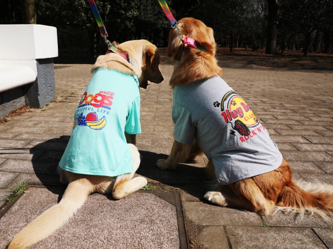 「ペット Tシャツ（Fruitful、Hug Dog）」※着用サイズ：L