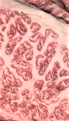 使用部位の例②