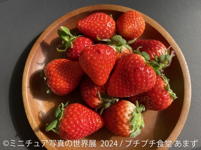 展示作品5
