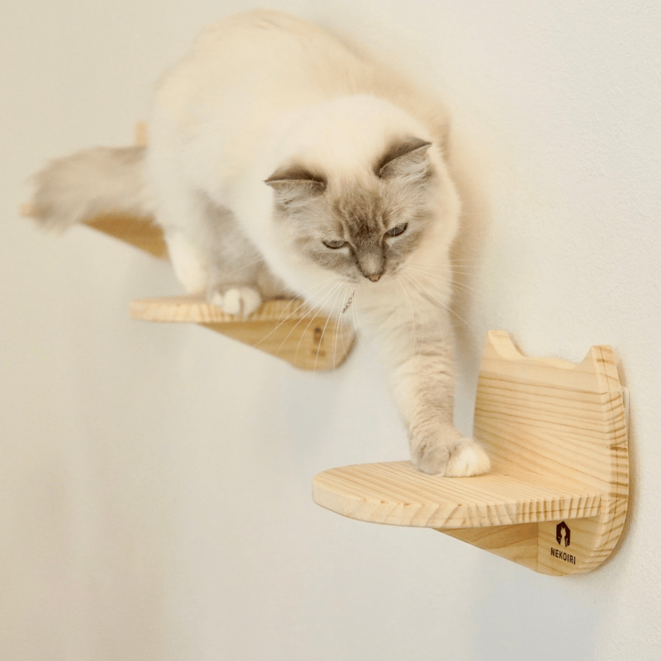 壁に穴をあけなくても簡単に設置できる キャットステップブランド 壁に穴をあけなくても簡単に設置できる キャットステップブランド