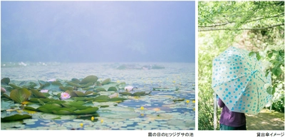 ROKKO森の音ミュージアム 雨の日こそ霧が幻想的な博物館へ レイニーシーズンSNSキャンペーン 2026年6月1日（月）～7月17日（金）