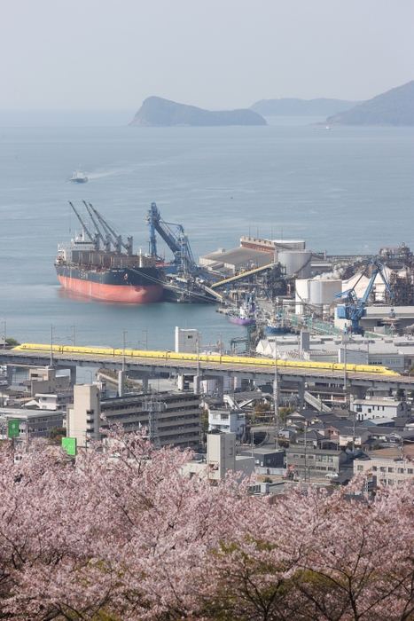 タイトル「SHUNAN BAY AREA」（投稿者：@wakuwaku0421）