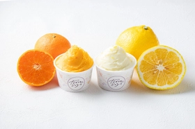 【長崎・地域連携】規格外の希少かんきつを活用した
「ながさきジェラート」を本格展開