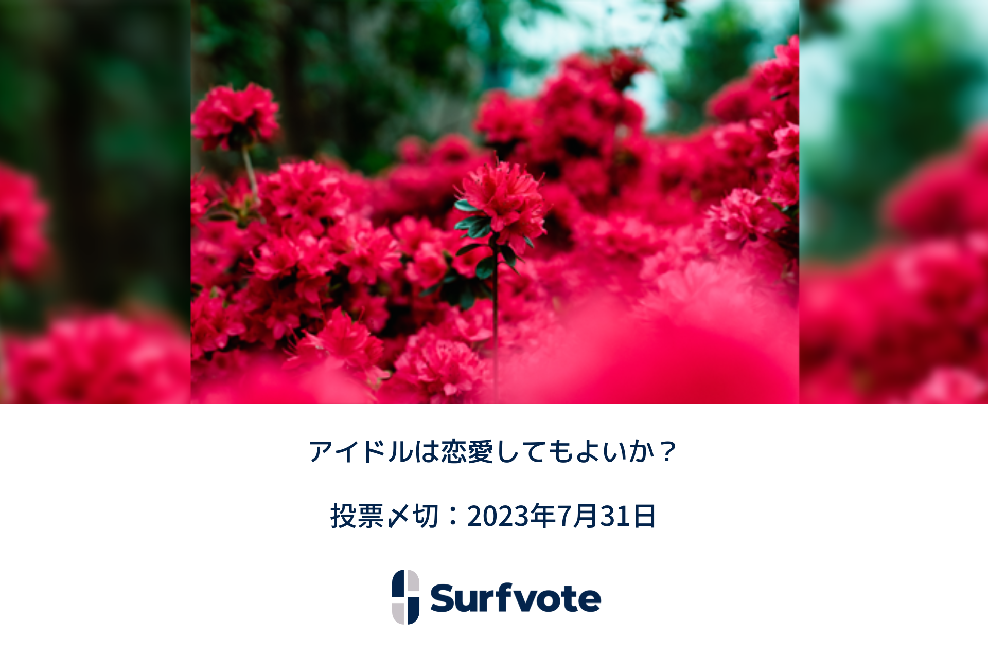 アイドルは恋愛してもよいか?Surfvoteで意見投票開始