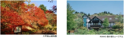 六甲高山植物園 ROKKO森の音ミュージアム 文化の秋 月曜こども無料キャンペーン 秋の月曜日は、こども入場無料