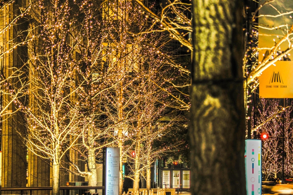 シャンパンゴールドイルミネーション2