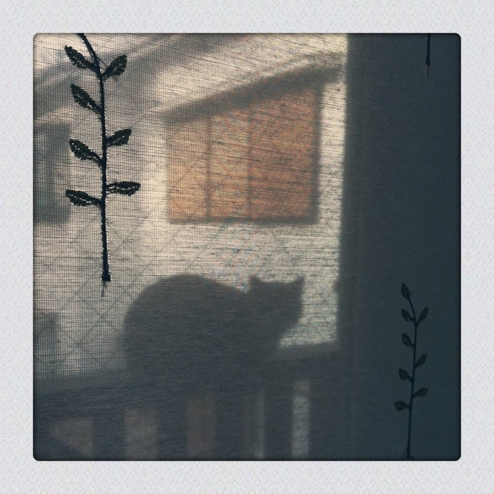 第一回新俳句フォト賞 majikanaK さん受賞作品