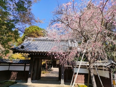 三光院山門