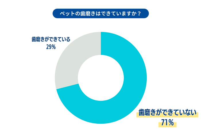 ペットの歯磨き評価