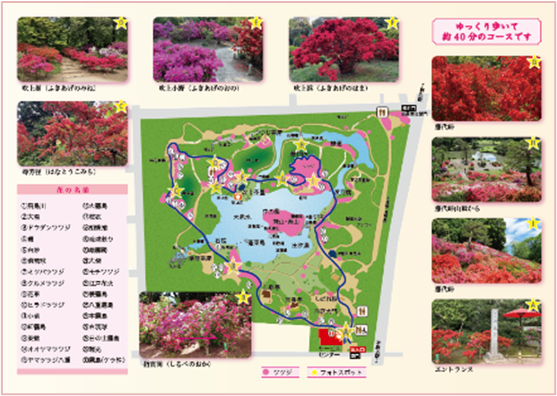 散策MAP(イメージ)