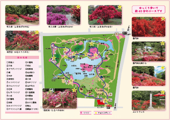 散策MAP(イメージ)