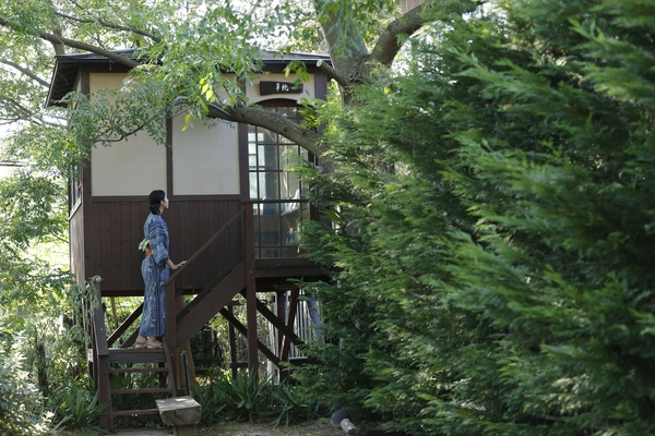 竹や山野草が茂る敷地内にはビオトーブの池や読書棟なども