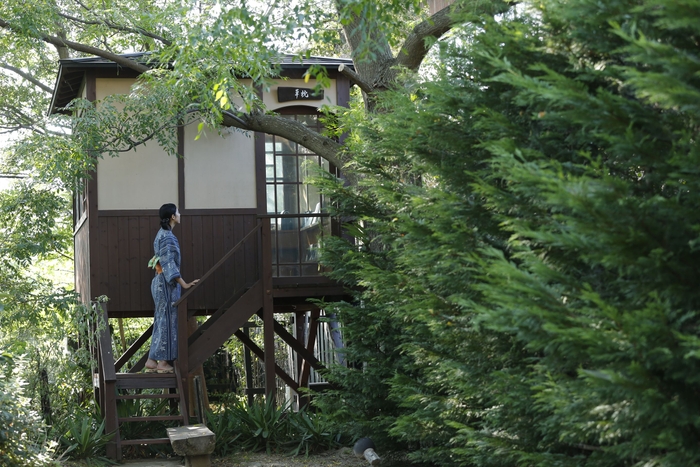 竹や山野草が茂る敷地内にはビオトーブの池や読書棟なども