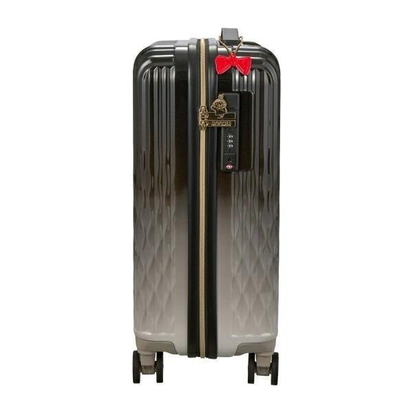 リトルミイのスーツケース