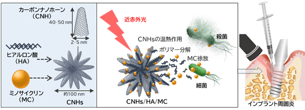 本研究の概要図