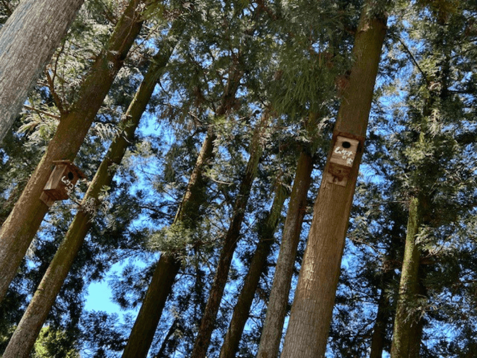 ③千本松ムササビ荘