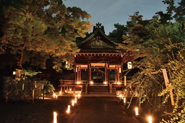 「京都・梨木神社　光の宮」を開催【SDGｓ先進都市・京都の新たな夜間コンテンツ】