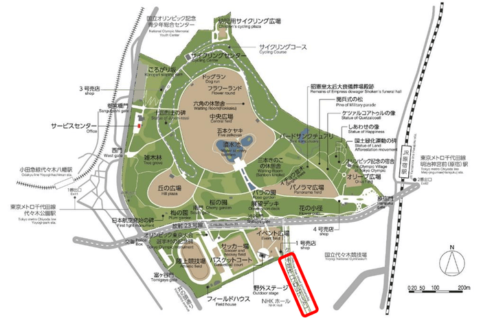 代々木公園　ケヤキ並木