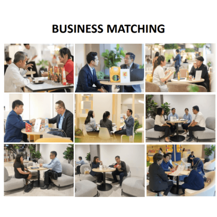 BUSINESS MATCHING