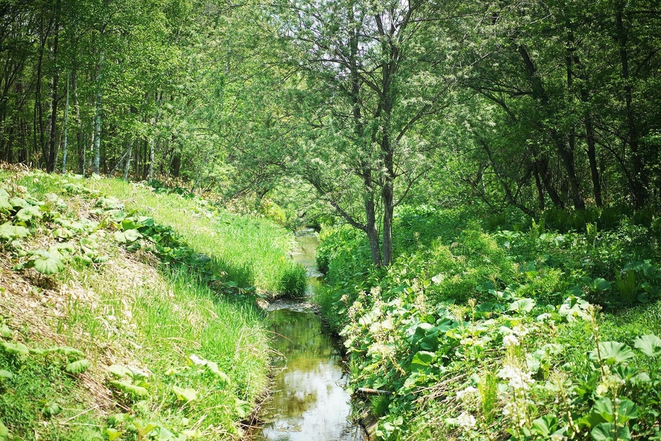 十勝の大自然