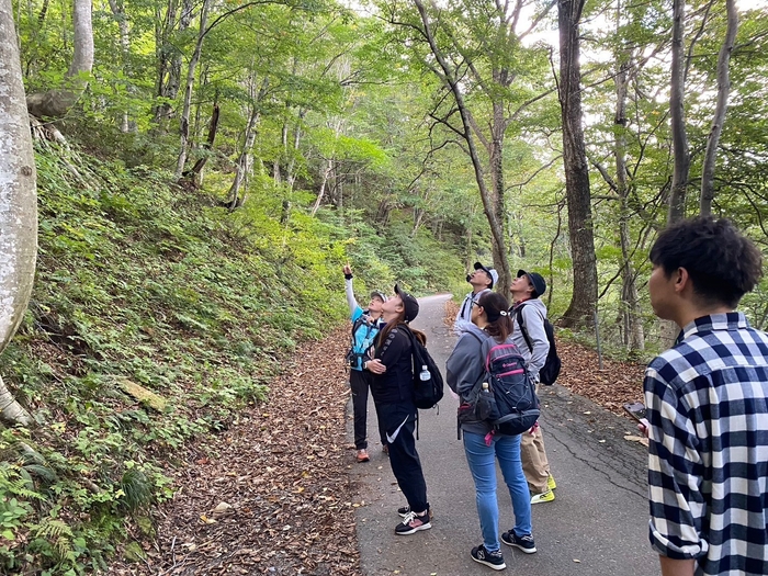 みなかみ町観光商工課 提供